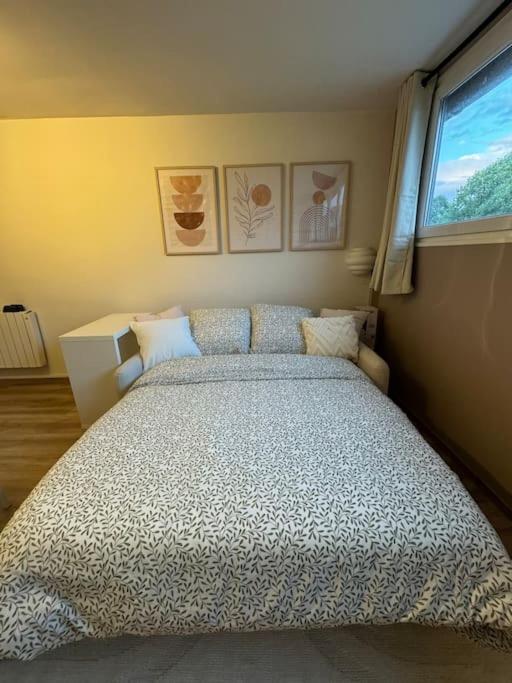 Studio Cosy Au Coeur Du Haut-Jura Foncine-le-Bas Kültér fotó
