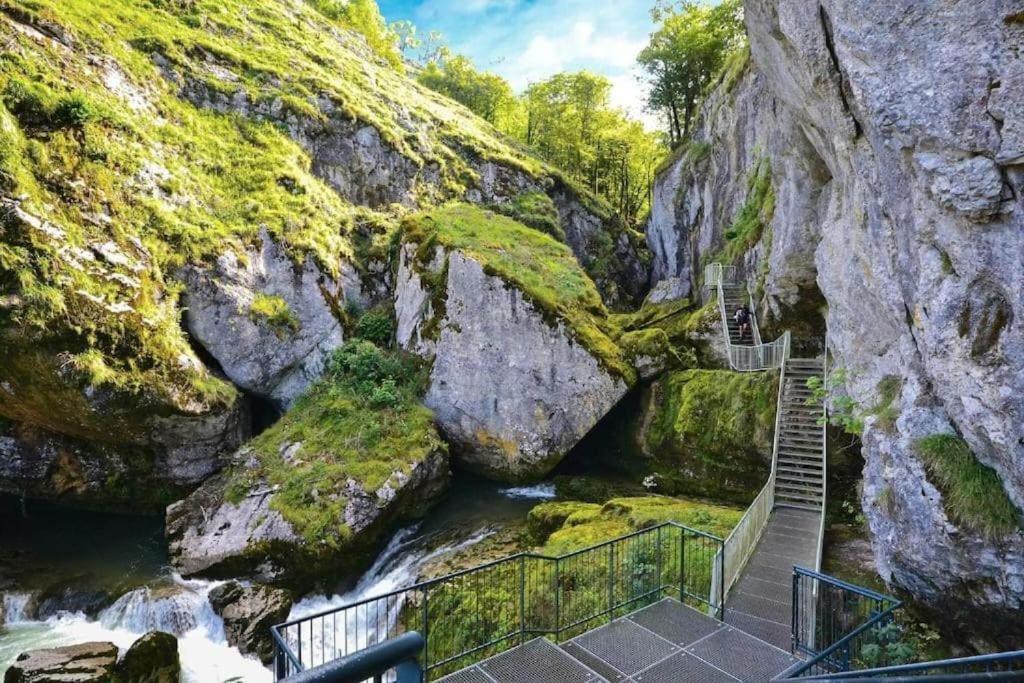 Studio Cosy Au Coeur Du Haut-Jura Foncine-le-Bas Kültér fotó